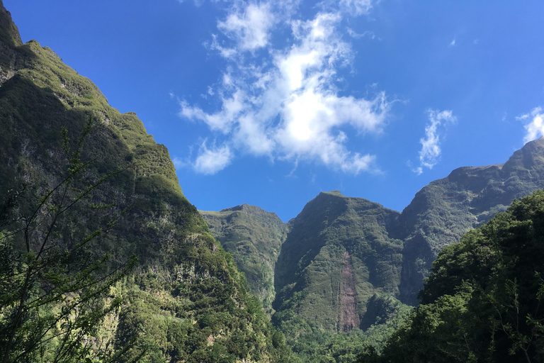 Madeira: Levada do Caldeirão Verde Wandeling met lokale ophaalservice