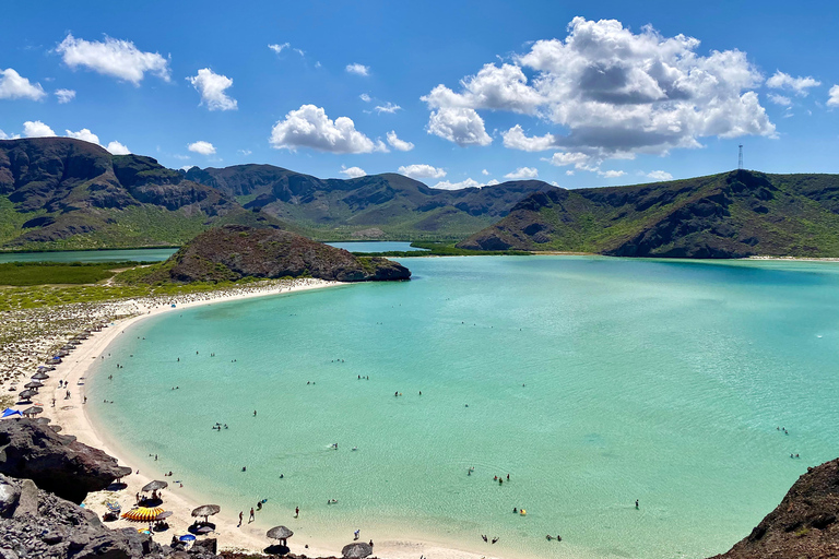 Private Experience from Cabo San Lucas to La Paz: (Playa Balandra) Private experience from Cabo San Lucas to La Paz: (Balandra Beach)