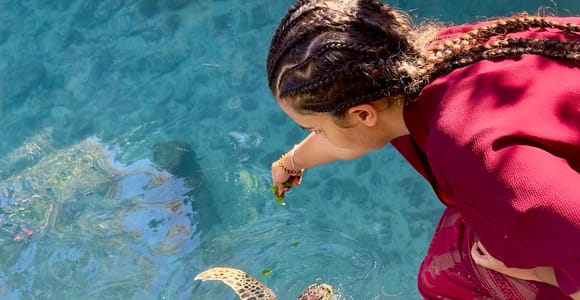 Zanzibar: Sea Turtle Swim at Kizimkazi Salaam Cave Tour