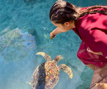 Zanzibar Kizimkazi: Grotta di Salaam, nuoto con le tartarughe marine e trasferimento
