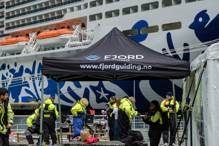 From Hellesylt: Experience Fjordsafari Geirangerfjord on RIB