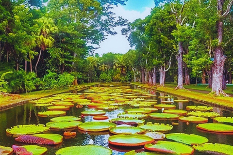 Mauritius: Port Louis, Temple, & Sugar Museum Private Tour