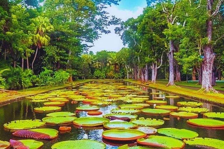 Mauritius: Port Louis, Temple, & Sugar Museum Private Tour