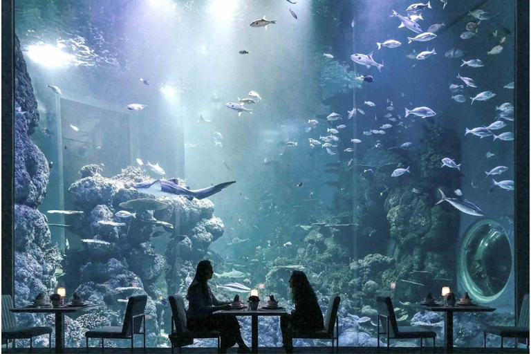 Muscat: Oman Aquarium Entry Ticket