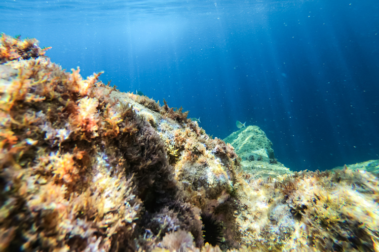 Costa Brava: Tour delle grotte marine in kayak e snorkeling
