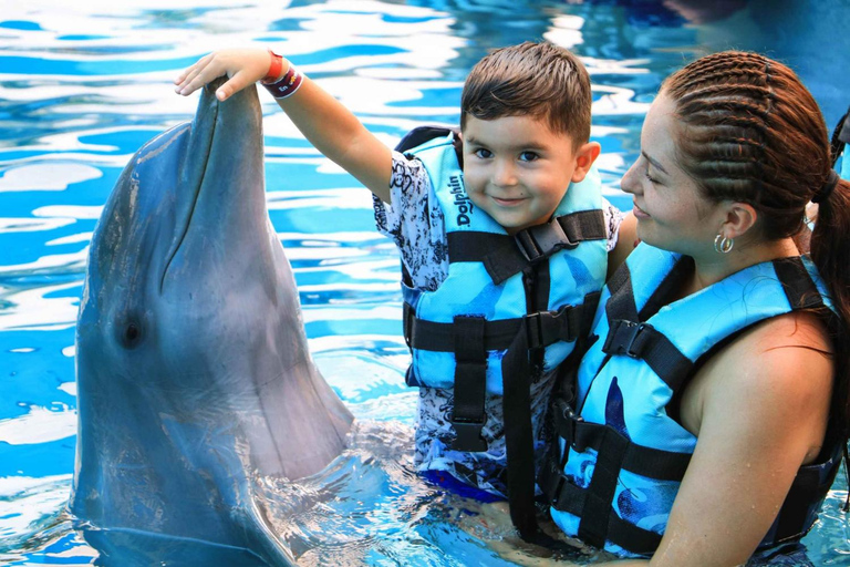 Aventura con delfines y encuentro interactivo en Punta CanaNado real con delfines