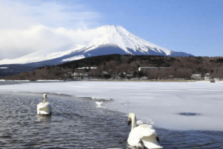 Mount Fuji Full Day Private Customizable Tour with Guide