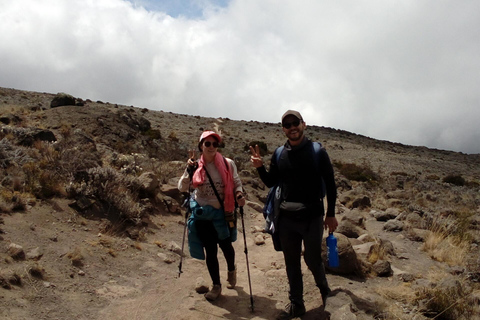 4 days Kilimanjaro short hike via marangu route