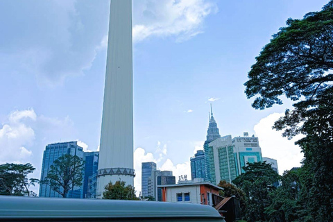 Kuala Lumpur: tour de medio día con 10 atracciones