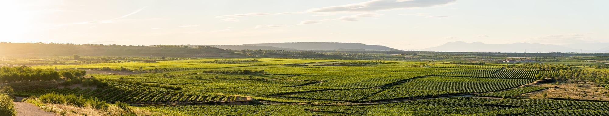 Bilbao: Private Tagestour durch die Weinregion Rioja