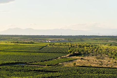 Bilbao: Rioja Wine Region Private Day Tour