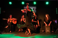 Valencia, Espectáculo de Flamenco en Ca Revolta - Hizvo