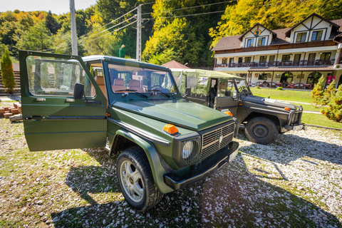 Bucharest: Valsan Valley and Transfagarasan Day Trip