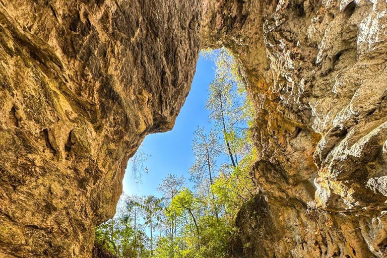 Tierras Altas de Juárez: Experiencia Ecoturística y Taller