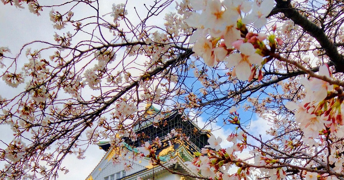 Multilingual Audio Guide Osaka Castle & Temples Walk Tour + Multilingual Audio Guide | GetYourGuide