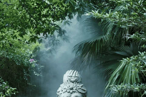 Guangzhou：South China National Botanical Garden Entry Ticket