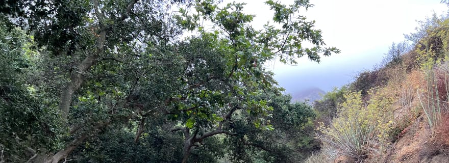 Santa Barbara : Randonnée à cheval et dégustation de vin