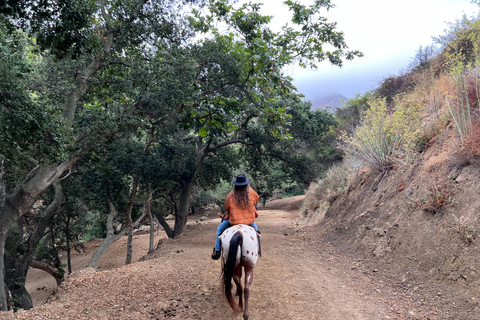 Santa Barbara: Horseback Riding and Wine Tasting Tour