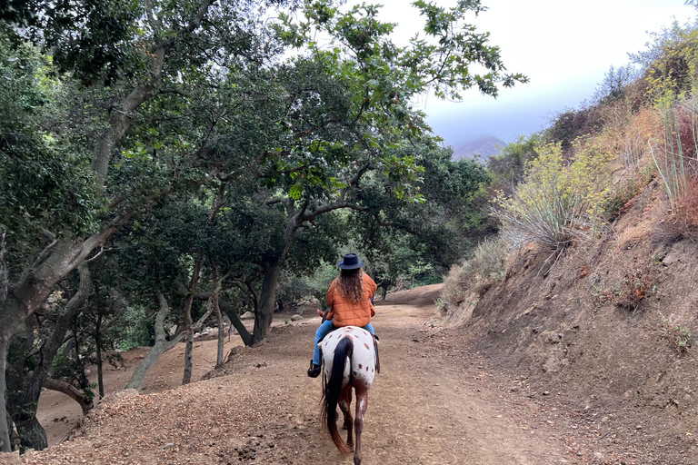 Santa Barbara: Horseback Riding and Wine Tasting Tour