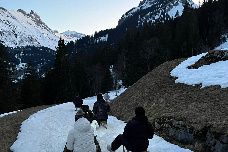 Interlaken: Night Sledding & Fondue Dinner with Guide