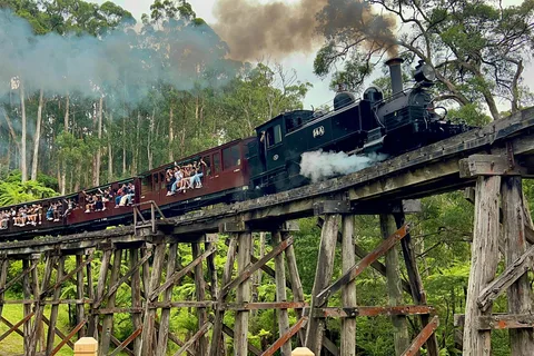 Melbourne: Esperienza di mezza giornata con il treno a vapore Puffing Billy