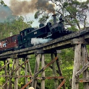 Melbourne: Half-Day Puffing Billy Steam Train Experience