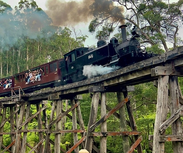 Melbourne: Experiência de meio dia no comboio a vapor Puffing Billy