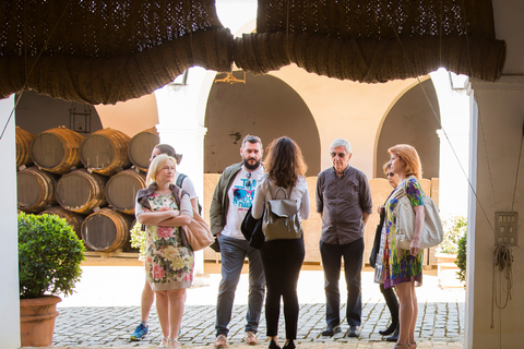 Montilla, Cordoba: Bodegas Alvear Winery Tour & Wine Tasting Bodegas Alvear Winery Tour & 5-Wine Tasting Spanish