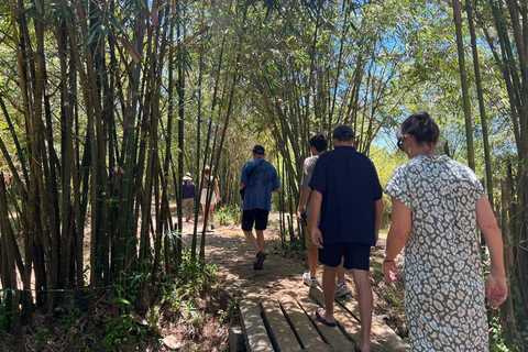 Meio dia de Hue a Dmz em carro privado - Visita os túneis de Vinh Moc