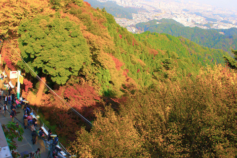 Avontuur op de Takao berg: Ontdek natuur en traditie in Tokio