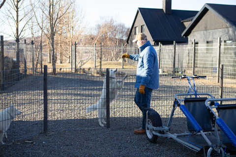 Reykjavík: Husky Kennel Visit with Hot Drinks