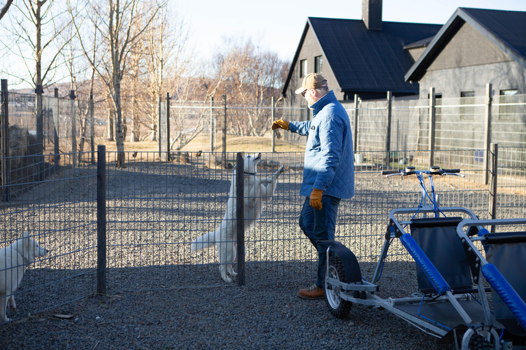 Reykjavík: Husky Kennel Visit with Hot Drinks