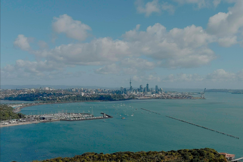 Auckland: Scenic Highlights Tour with Ferry Ride