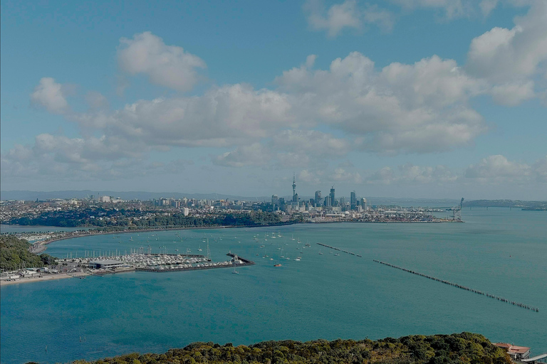 Auckland: Scenic Highlights Tour with Ferry Ride