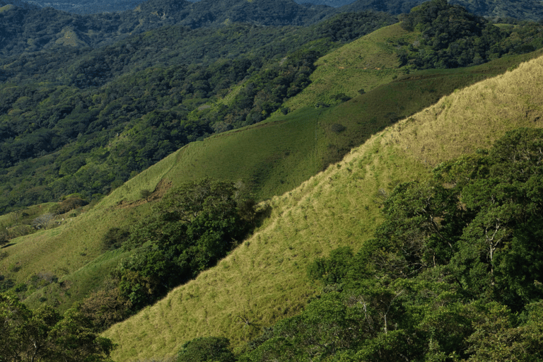 Traslado privado del aeropuerto de San José a/desde Monteverde