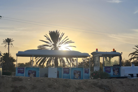 正宗杰尔巴：日落马车之旅和东方小吃正宗杰尔巴岛：日落马车之旅和免费东方小吃