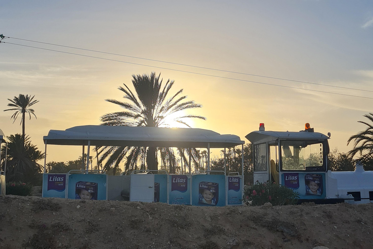 正宗杰尔巴：日落马车之旅和东方小吃正宗杰尔巴岛：日落马车之旅和免费东方小吃