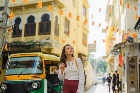 Udaipur: Sightseeing Tour by Tuk-Tuk or Car with a Driver Udaipur Tour By Car with a Guide