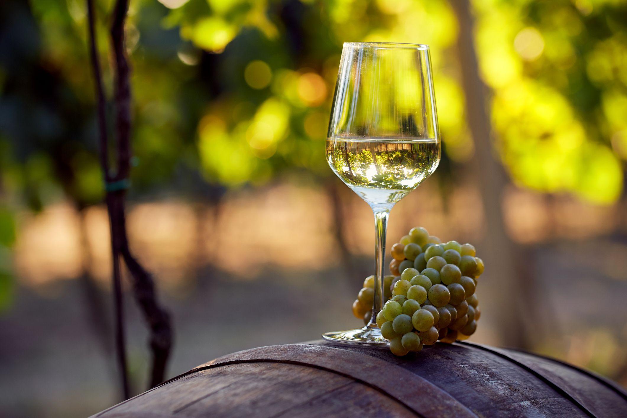 Entdecke die Halbinsel Pelješac - Eine Weintour in kleinen Gruppen