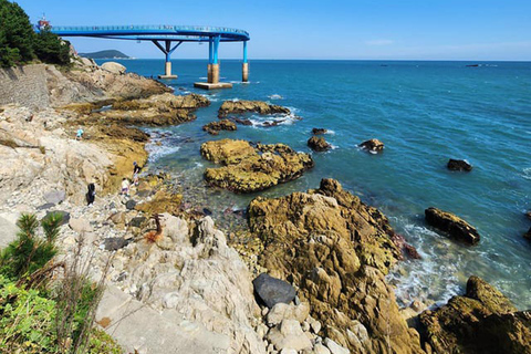 Busan Top Attractions 2-Day Tour from Seoul