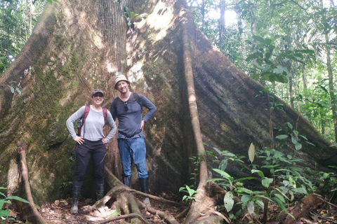 3-Day Amazon Expedition: Jungle, River & Wildlife Tour