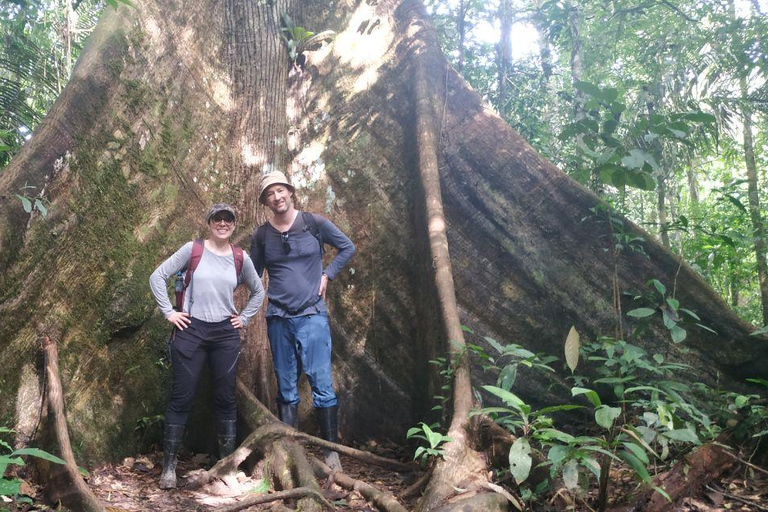 3-Day Amazon Expedition: Jungle, River & Wildlife Tour