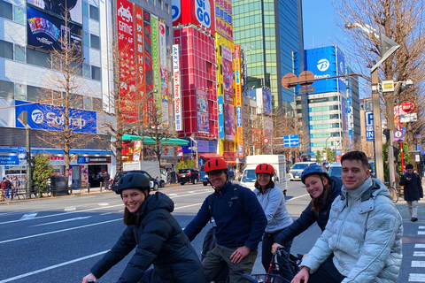 Tokyo: 3-timmars e-cykeltur i stadens hamnområden