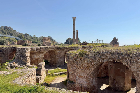 Tunis, Carthage & Bardo Museum: A Journey Through History From Mahdia