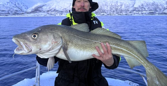 Tromsø: Private Fishing Tour - Open Boat