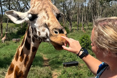 Parque Nacional, Expediciones al Centro de Elefantes Bebé y Jirafas