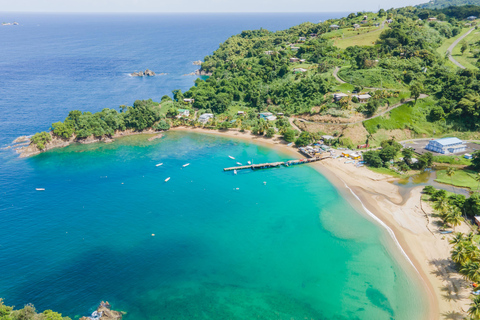 Tobago: Island Tour with Rainforest Drive and Scenic Lookout