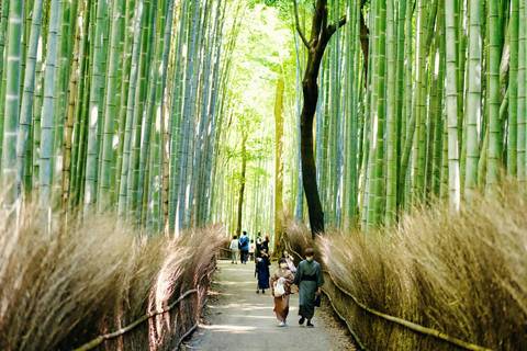 Osaka/Kyoto: Kyoto & Nara Private Sightseeing Tour