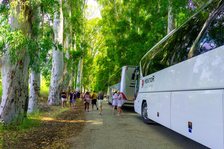 Marmaris: Akyaka Boat Tour, Yuvarlakcay, and Lunch