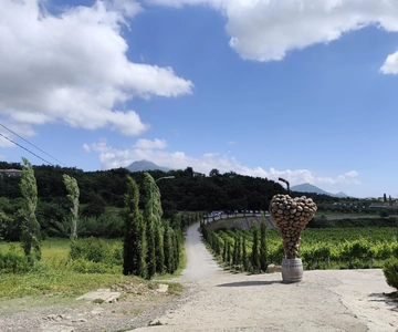 De Tirana a Shkodra: la historia de Eden sobre el tiempo y el sabor
